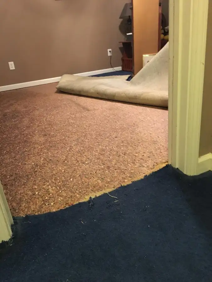 Carpet pad removal revealing water damage during Water Mitigation Services in Wilbraham