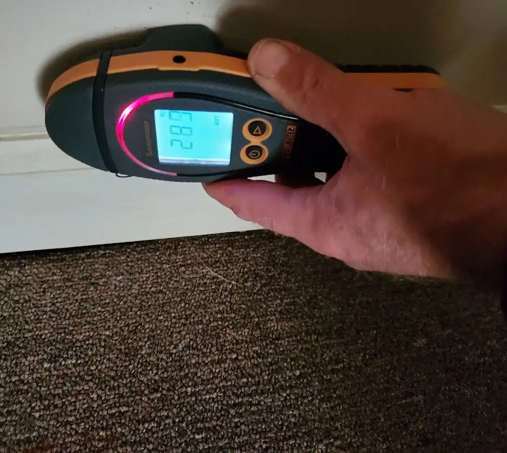 Moisture detection at baseboard during Mold Inspection & Testing in Wilbraham